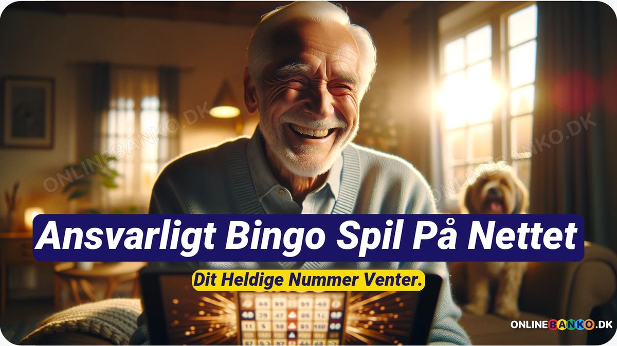 Ansvarligt Bingo spil på nettet - De bedste Bingo-Spillesider ❤️