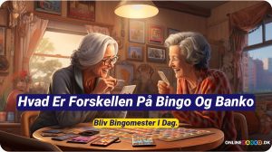 Hvad er forskellen på Bingo og Banko - Alt om Spillene ❤️