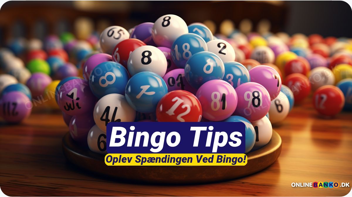 Bingo Tips - Regler, Tricks og metoder til at vinde spillet i 2024